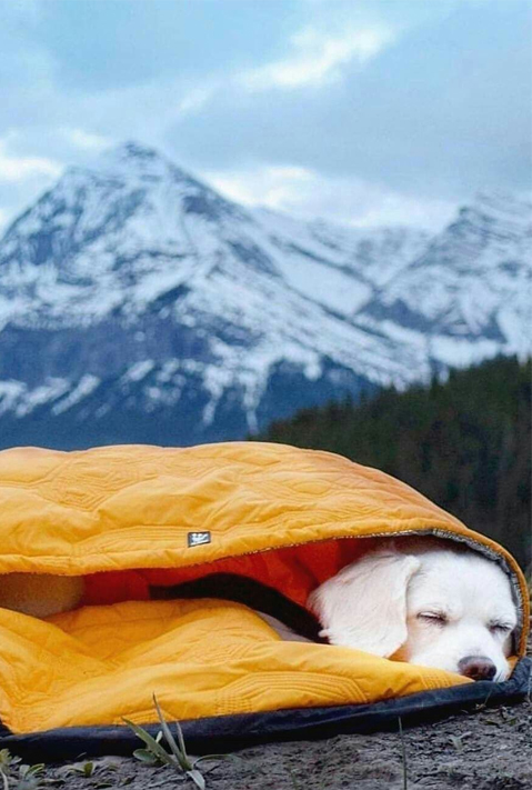 Tela para saco de dormir
